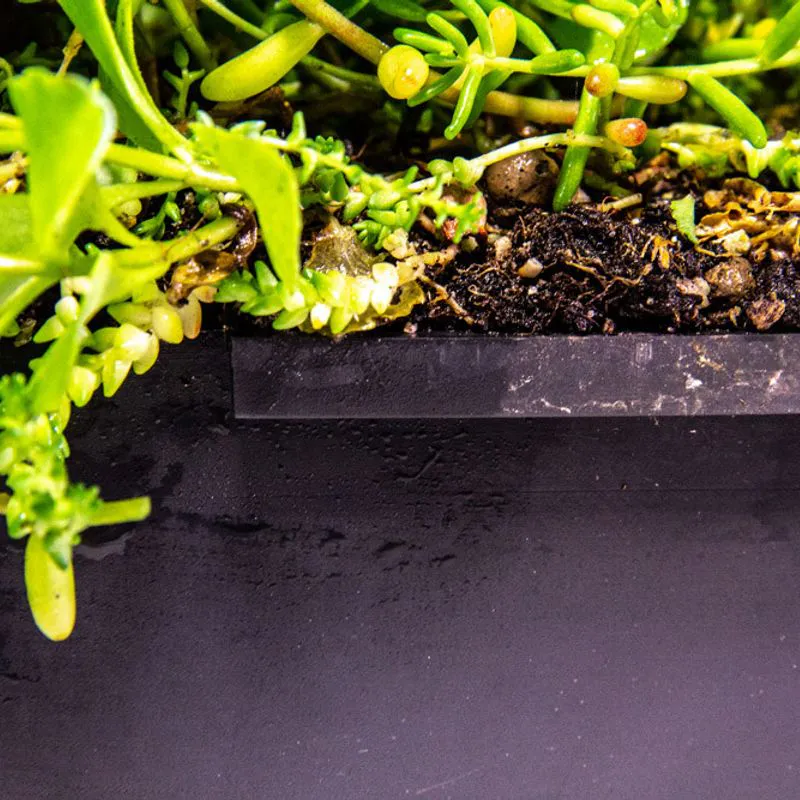 Modular Root Greenleaf Rd1050a Wallbarn M-Tray Modular Sedum Green Roof - 500mm x 500mm x 100mm ...