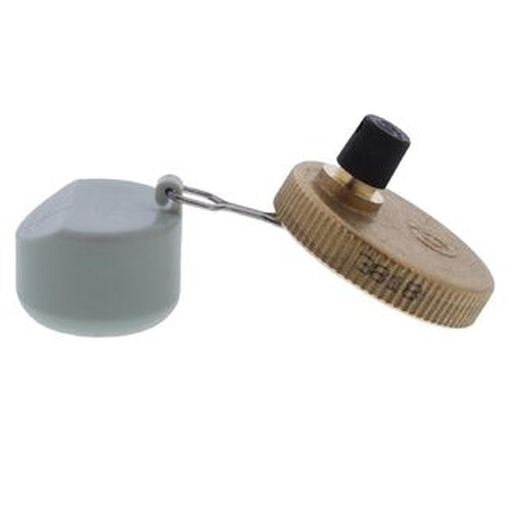 Ariston/Chaffoteaux 998643 Auto Air Vent + O-Ring