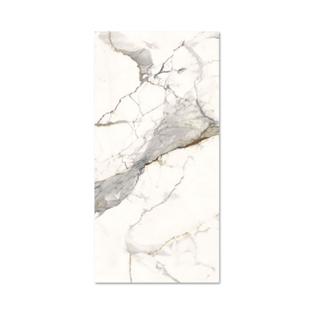 Apuano_Marble_Effect_Gloss_Wall_And_Floor_2