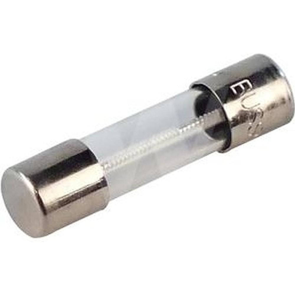 Ariston/Chaffoteaux 61003456 Fuse 250V 2A - Temporized