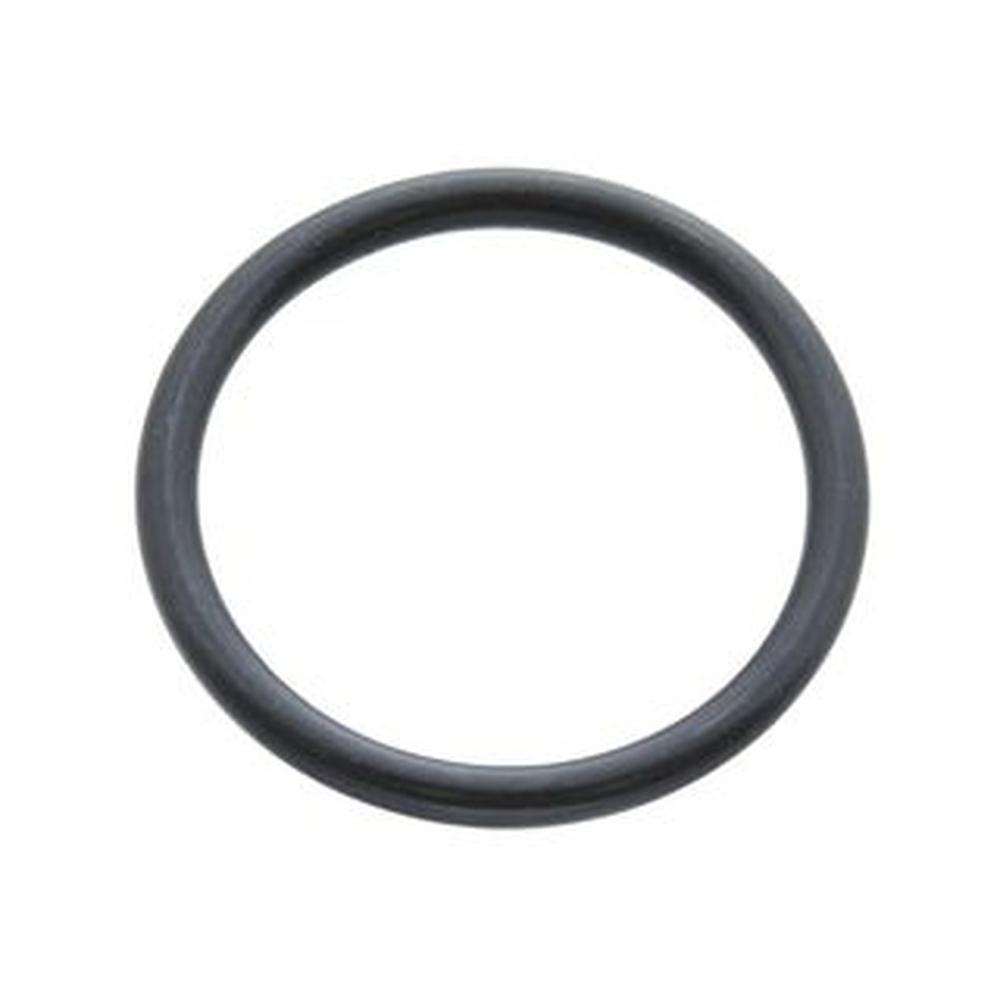 Biasi BI1011107 2.62 x 23.47 O-Ring
