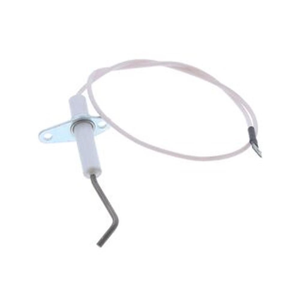 Biasi BI1223104 BI1223104 Detection Electrode