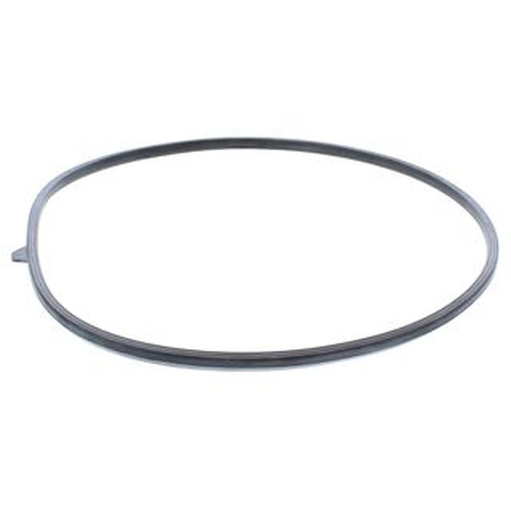 Biasi BI1253100 BI1253100 Combustion Chamber Gasket