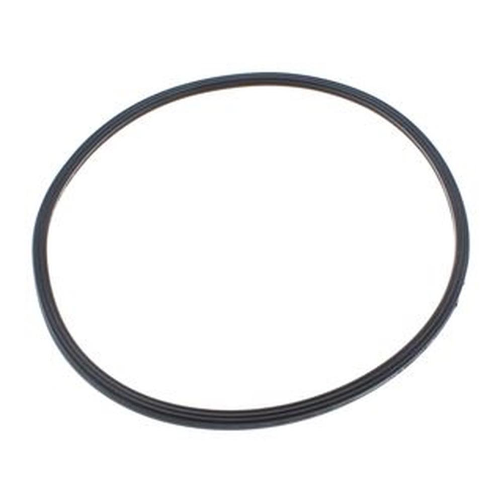 Biasi BI1293108 BI1293108 Combustion Chamber Lip Gasket