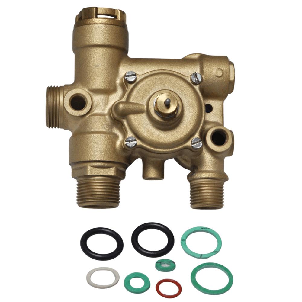 Biasi BI1371105 Flow Group Kit Plug