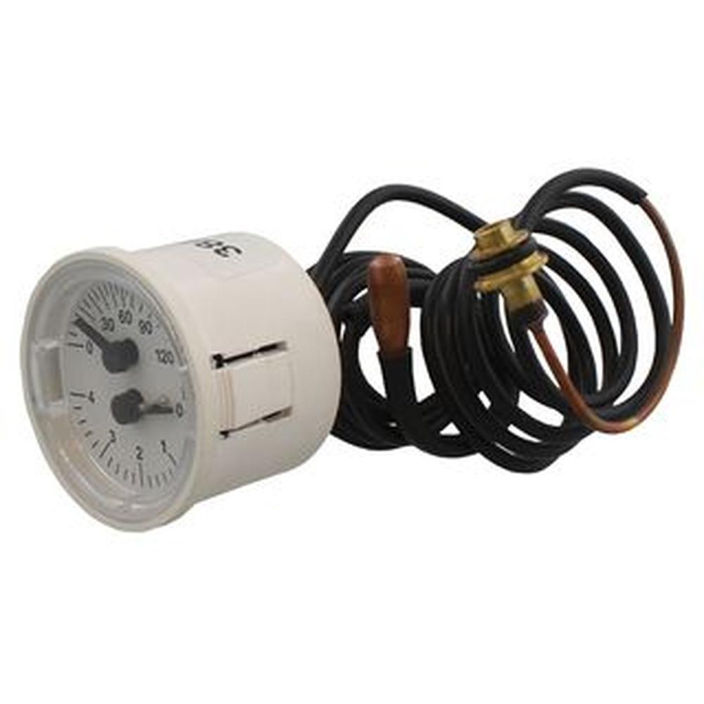 Biasi BI1475108 Temperature Pressure Gauge