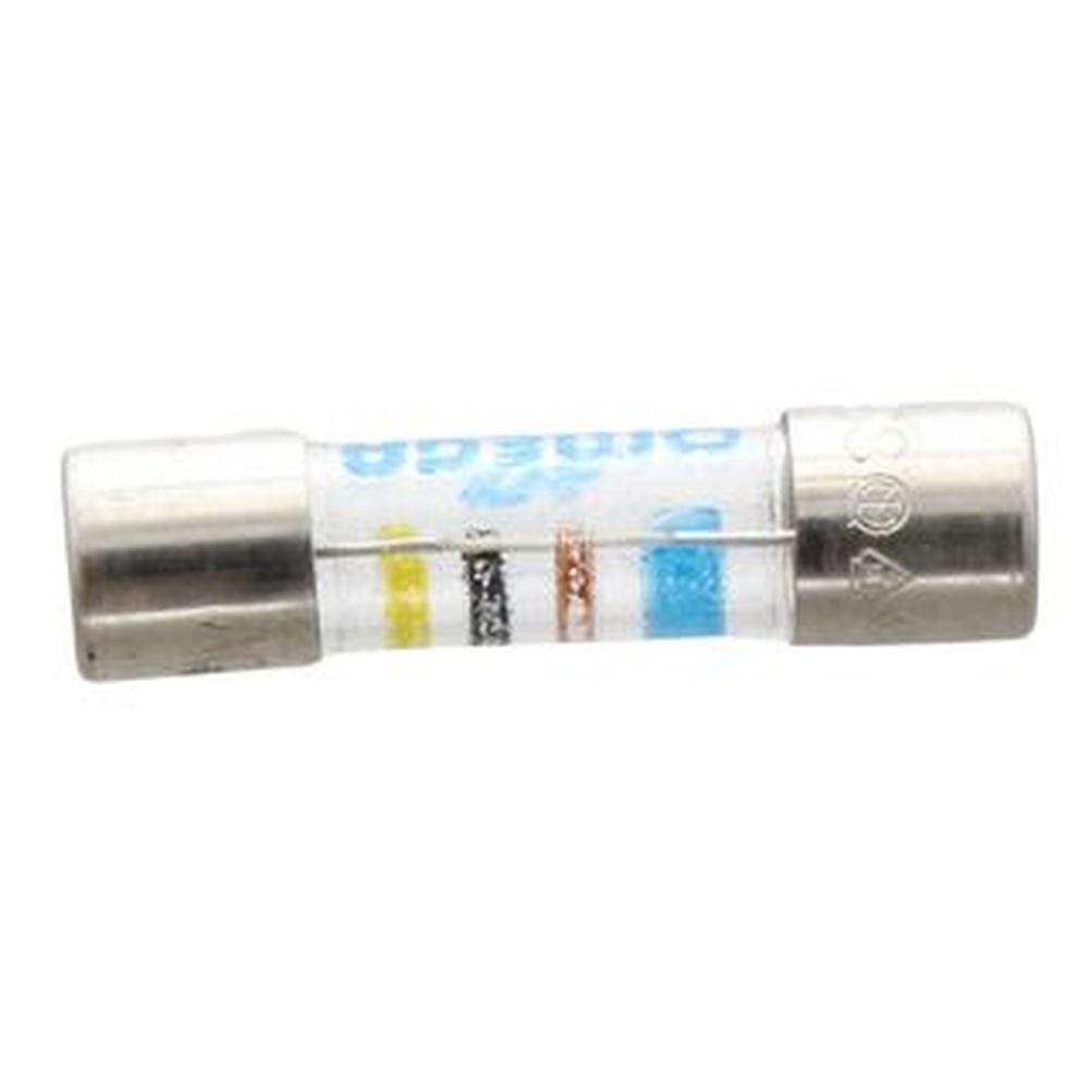 Biasi BI1665104 Delayed Fuse 400 Ma T