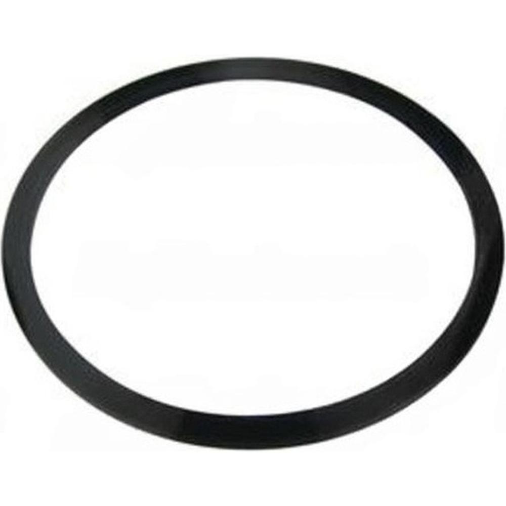 Biasi BI1172113 Pump Gasket Front