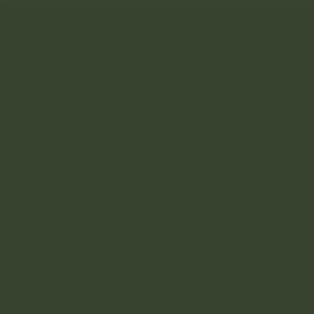 Product image for Cascade Cast Iron Style 68mm Plastic Pipe Coupler With Lugs - Green