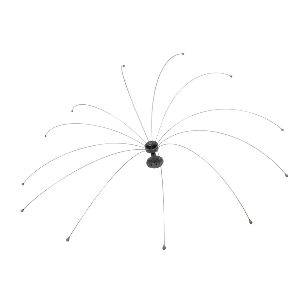 Daddi Long Legs Rotating Bird Spider