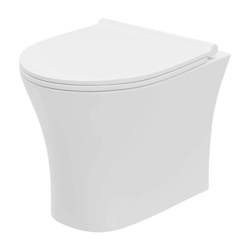 Essential White Delta Rimless Wall Hung Toilet Pan Only China