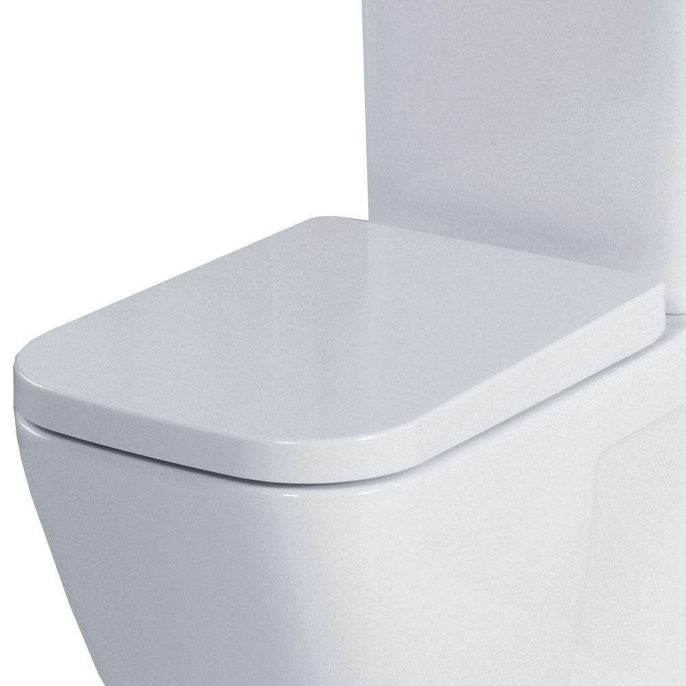 Essential Fuchsia White Toilet Seat and Cover Plumbing Superstore®