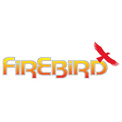 Firebird ACC150GSK Combustion Door Insulation 150