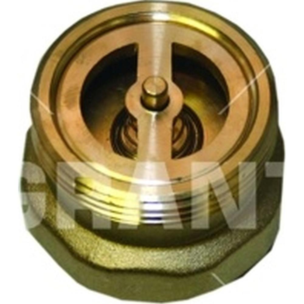 Grant MPCBS81B Non Return Valve 28mm (All Combi After April 2011) - Located Nr Pump