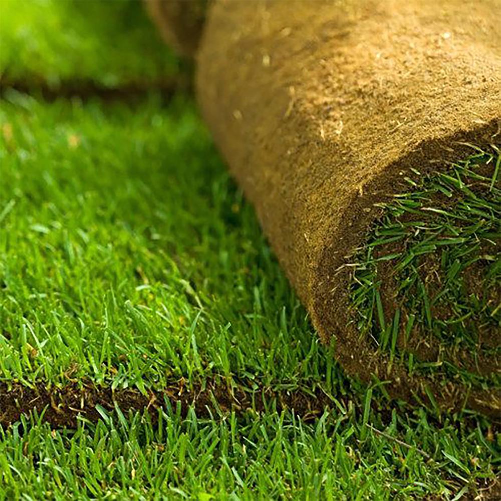 Hallstone Lawn Turf 1m2