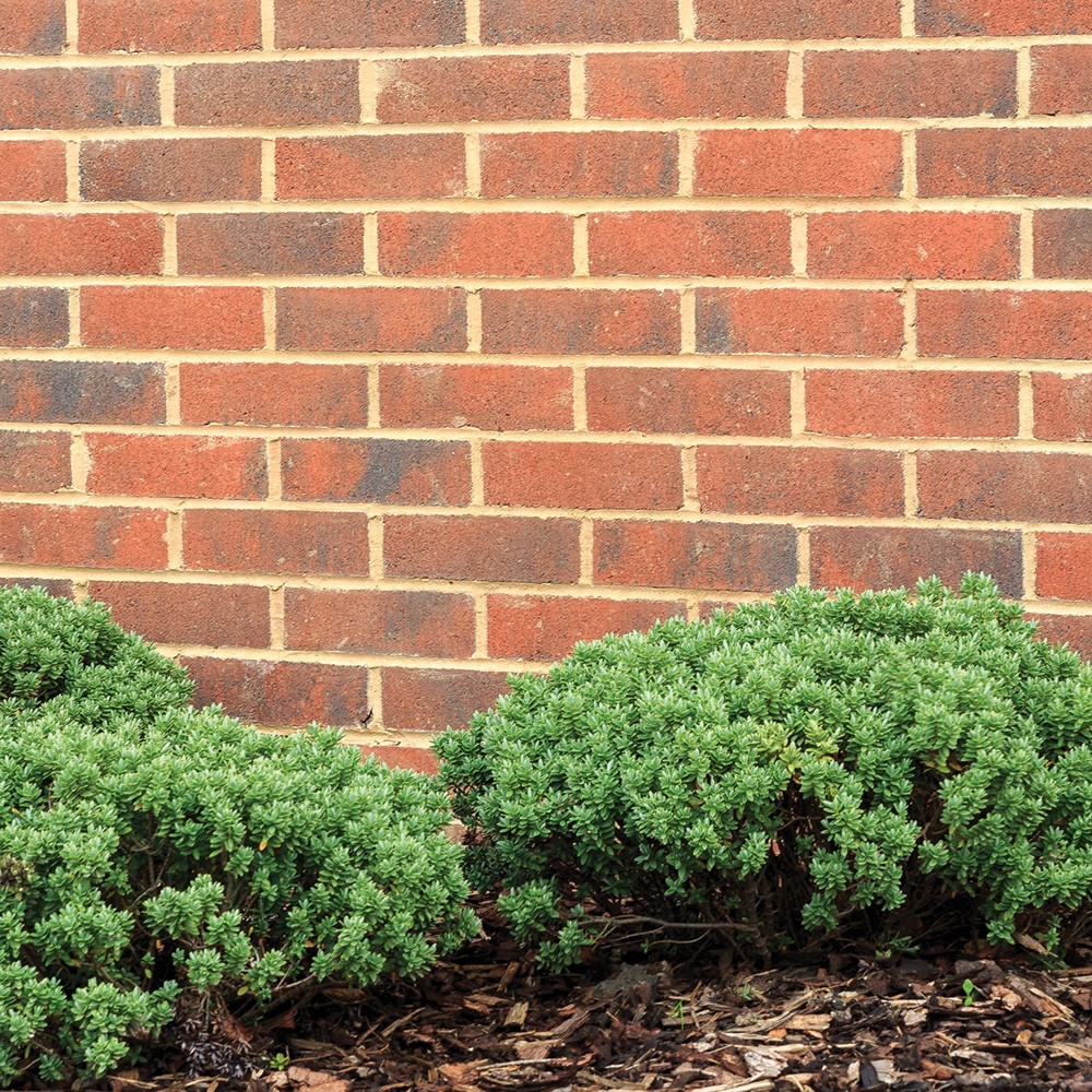 Lansdowne Facing Brick 215 x 100 x 65mm cottage red lifestyle side