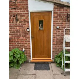 LPD Cottage 1 Panel Cottage Unfinished Natural Hardwood 1 Light Decorative Glass External Front Door (M&T)