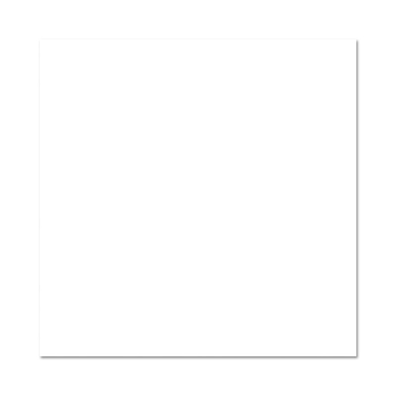 misty_dove_white_floor_tile_image 1711364059