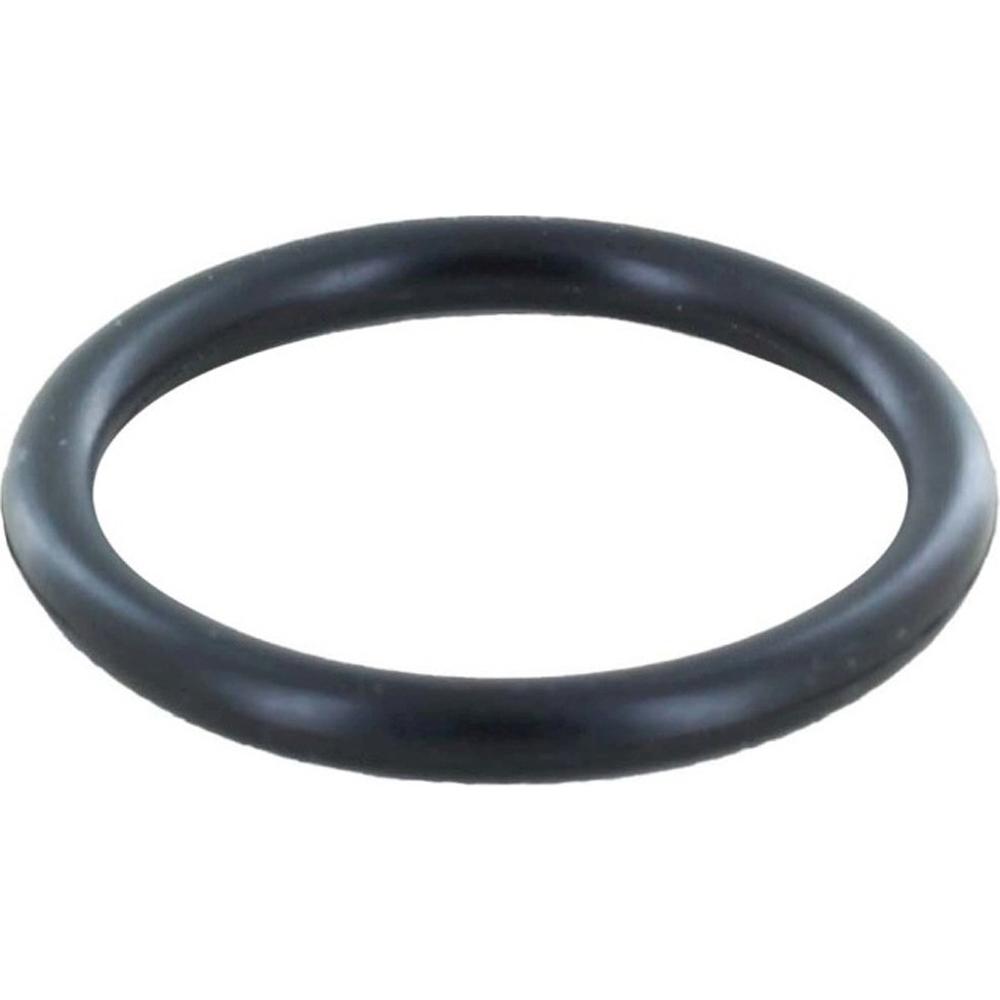 Navien 20048667A O-Ring EPDM NSF (Black)