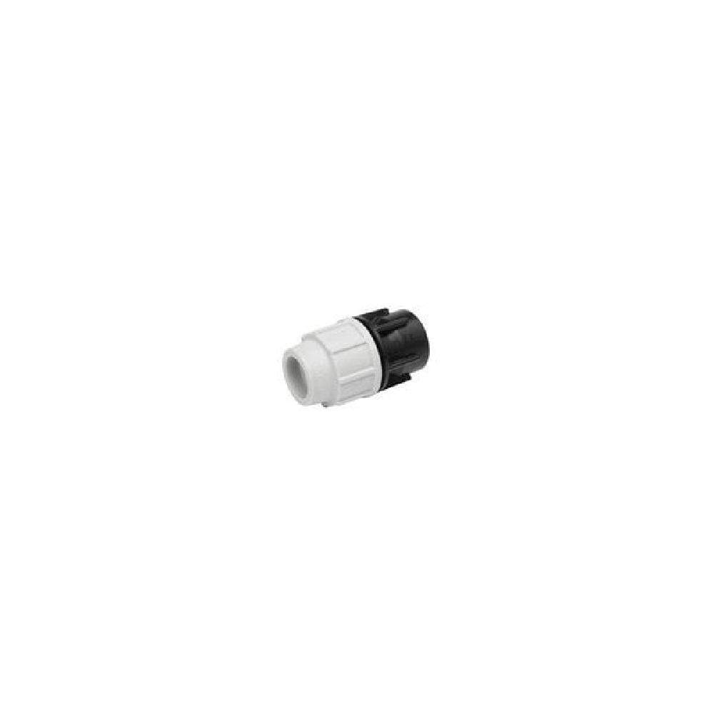 Plasson Women's Adaptor Parallel - 25Mm X 3/4 Inch Mdpe Plastic