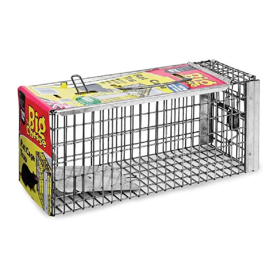 Rat Cage Trap The Big Cheese Landscaping Superstore rat-cage-trap-the-big-cheese-landscaping-superstore