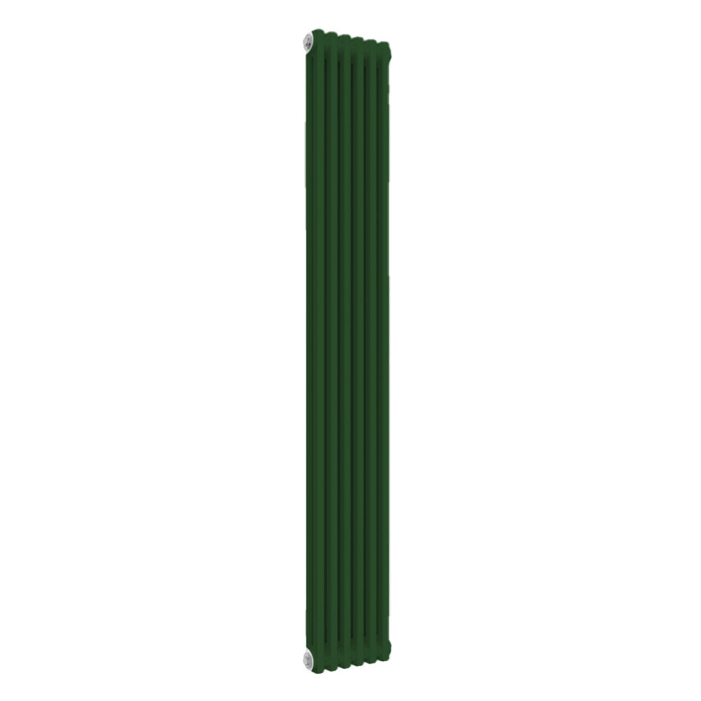 Reina Colona 2 Column RAL 6029 Mint Green Designer Vertical Radiator ...