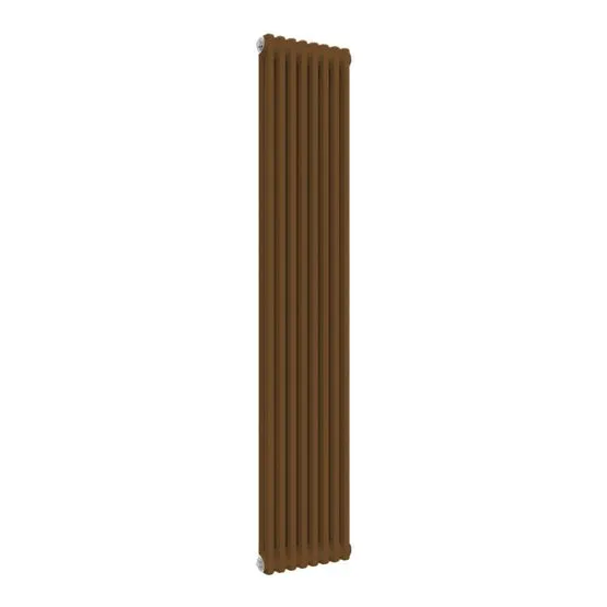 Column Radiators Ral Reina Colona 2 Column RAL 8003 Clay Brown Designer Vertical Radiator ...