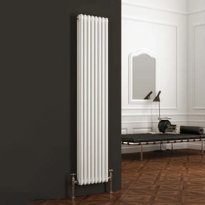 Reina Colona 2 Column Vertical Radiator | clickbasin®