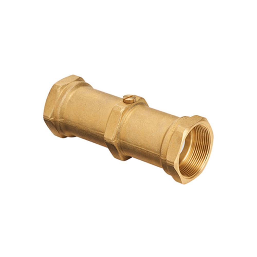 Reliance Water Controls Female x Female Brass Double Check Valve