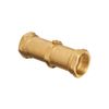 Reliance Water Controls Female x Female Brass Double Check Valve - 3/4 inch