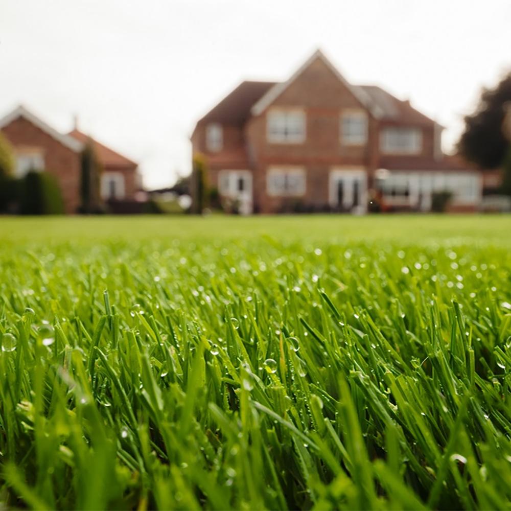 Rolawn Medallion Lawn Turf 1m2