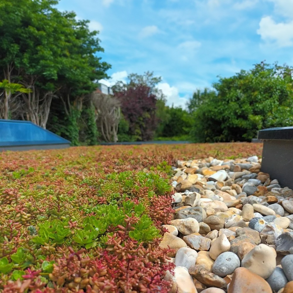Sky Garden Firebreak Riverstone Border