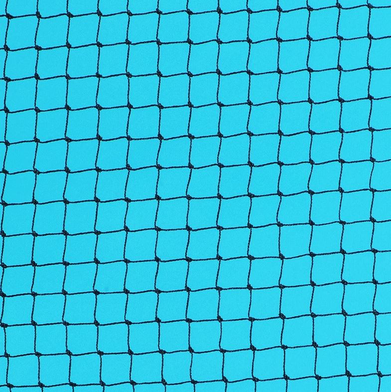 Sparrow Bird Netting