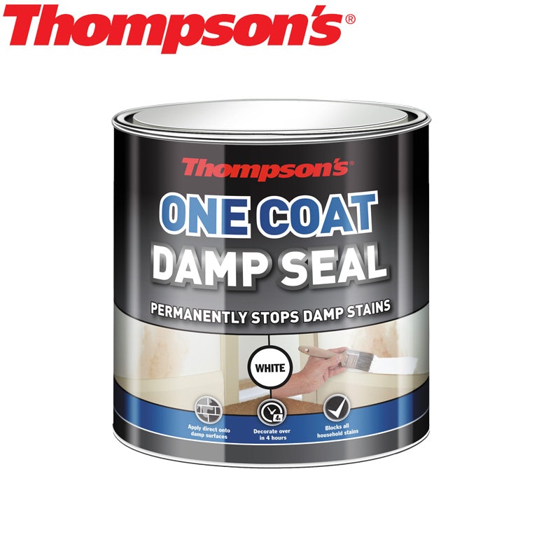 Thompsons One Coat Damp Seal - 2.5L