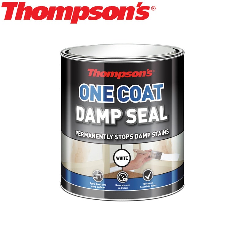 Thompsons One Coat Damp Seal - 250ml