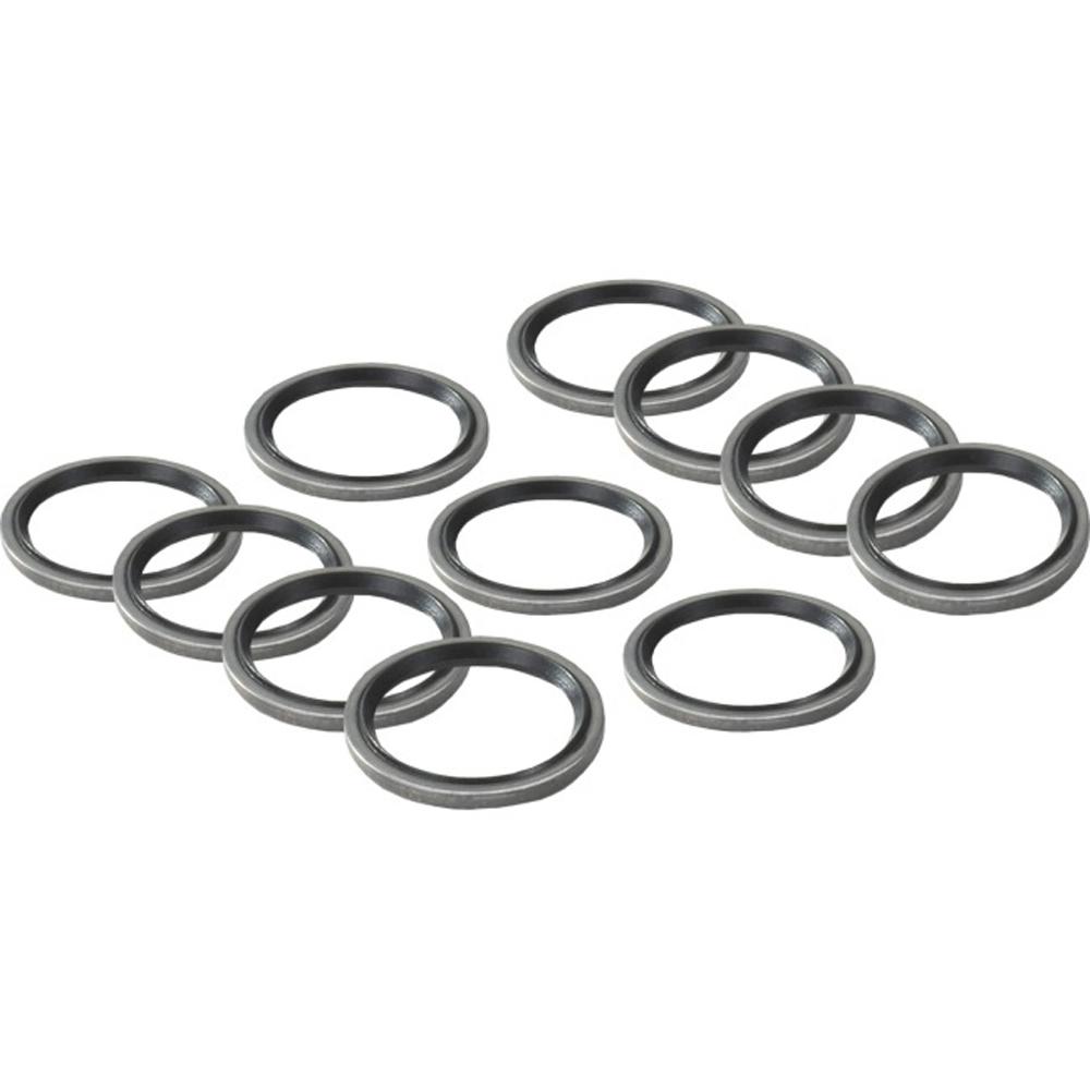 Worcester 87101031610 Bosch Washer 18.3X24.3 (10X)