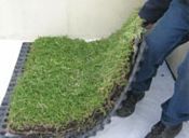 Modular Sedium Green Roof (70mm Substrate) ~ 1m2