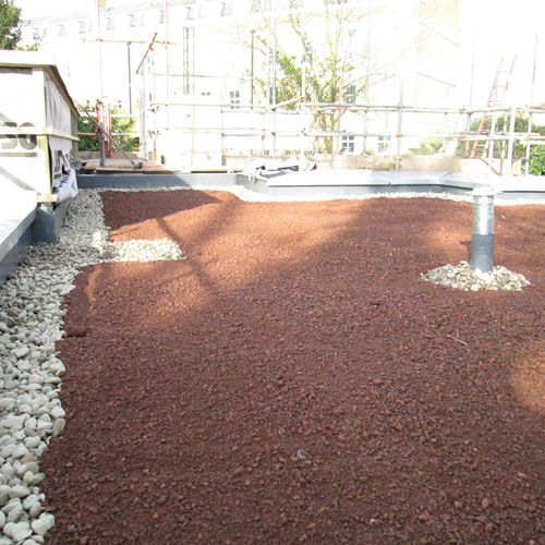 Full Wildflower Plug Planted Eco Green Roof - Priced per m2