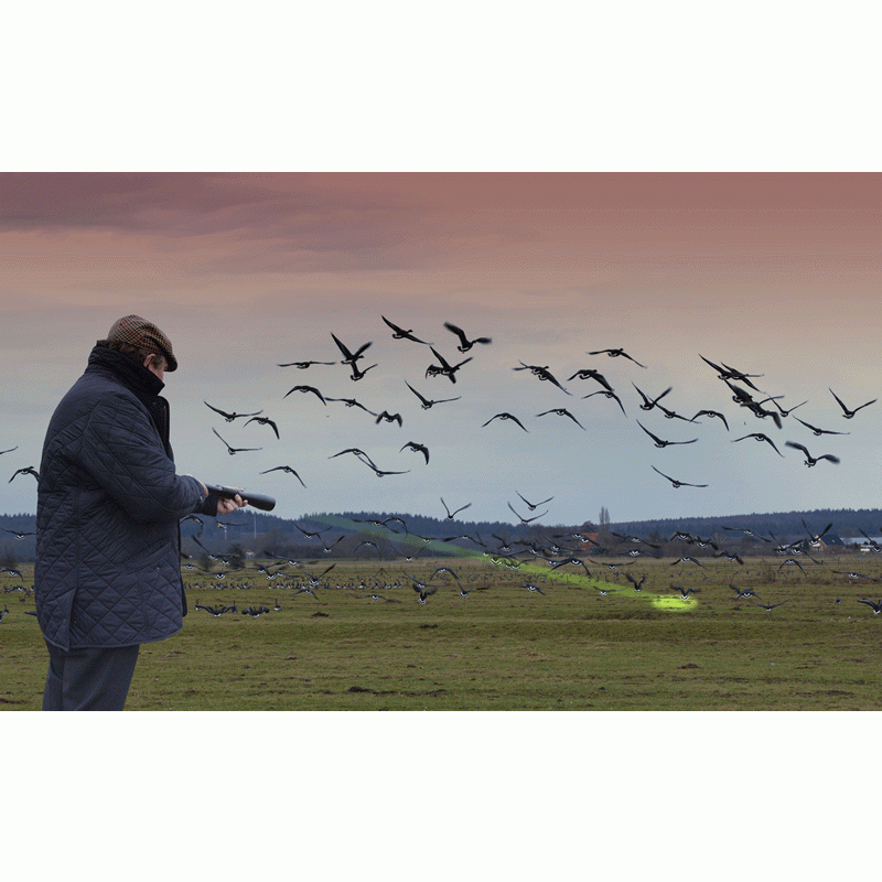 Agrilaser Handheld Bird Dispersal Laser Roofing Superstore®