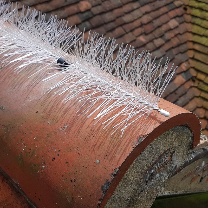 Hedgehog Anti-Bird Brush 750mm x 120mm with Fixings - 3m Pack