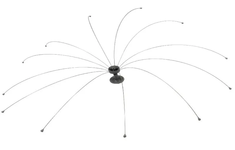 Daddi Long Legs Rotating Bird Spider