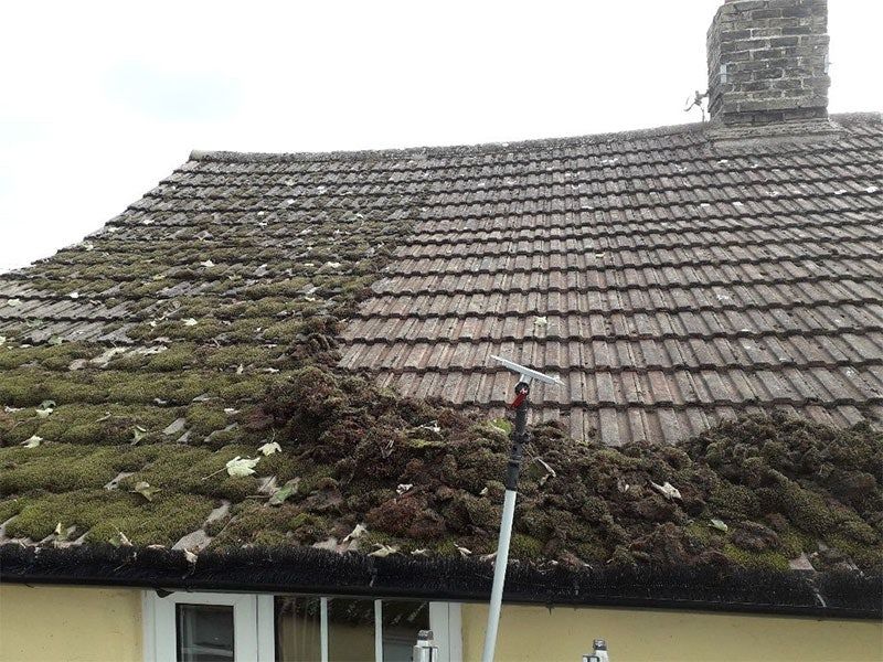 Roof Cleaning
