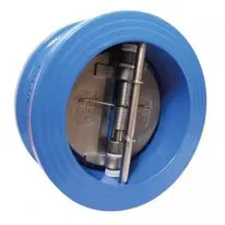 Albion Art 121 Dual Plate Cast Iron PN16 Wafer Check Valve