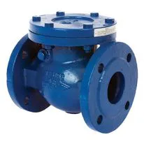 Albion Art 170 Cast Iron PN16 Flanged Swing Check Valves to BS5153