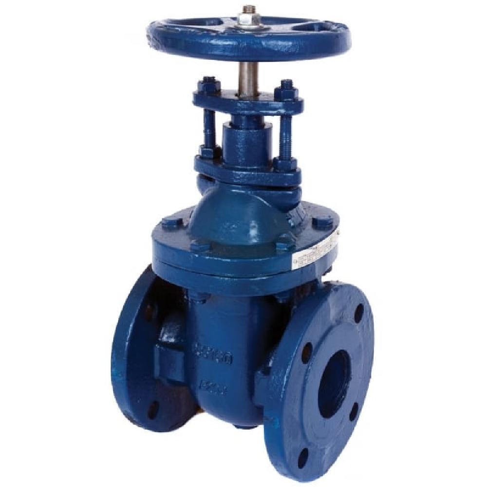 Albion Art 236 Cast Iron PN16 Flanged Gate Valve