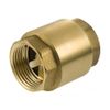JTM Albion Brass PN16 Spring Check Valve - 1 inch