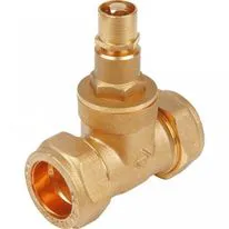 JTM Large Lock Shield Gate Valve