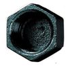 JTM Black Malleable Hexagonal Cap - 2 inch