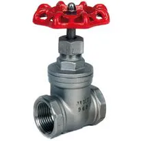 JTM Stainless Steel Gate Valve Parallel Thread
