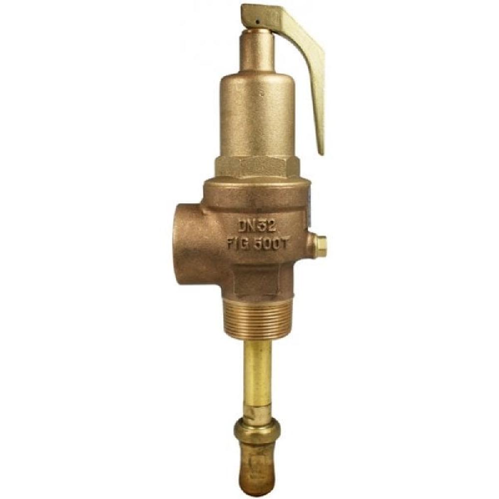 Nabic 2 inch 500T Combined Pressure and Temperature Relief Valve